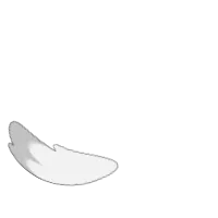 Tail Angle_001